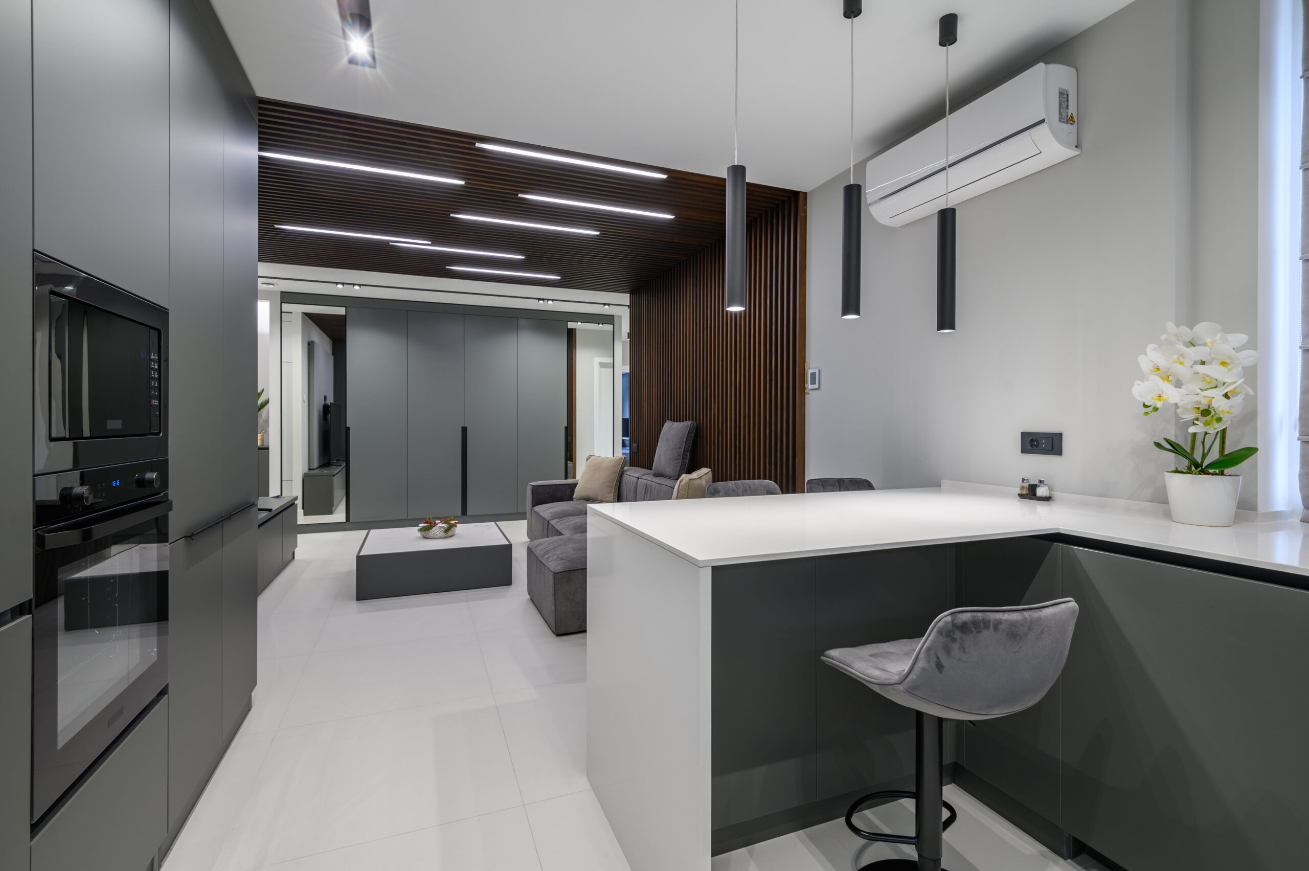 Luxury dining room, living room and hall in studio apartment interior